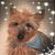 Barbara Gillespie Marshall's profile image