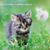 Fannie Bennett's profile image