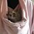 Abbie Thigpen's profile image
