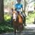 Tamsen Taylor's profile image
