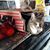 Marge Mlynarski's profile image