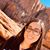 Gaby Medrano's profile image