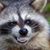 Michael R Schroer's profile image