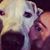 Tay Pfon's profile image