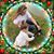 Tammy Russo's profile image