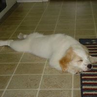 Penny Lipscomb's profile image