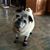 Anna Steffens's profile image