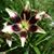 Judy Rardin's profile image