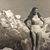 Mel Plum's profile image