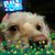 Joan Reed's profile image