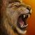 Gary Morris's profile image