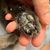 Francine Fitol's profile image