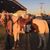 Traci Yelderman's profile image