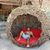 Juan Carlos Santillan Duran's profile image