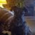 Jenny Engels's profile image