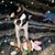 Tammie Colvin Wire's profile image