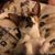 Tabitha Acree's profile image