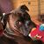 Teri Donovan's profile image