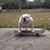 Granato MW's profile image