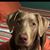 Missy Nichols Mason's profile image