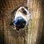 Robin Heise's profile image