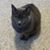 Linda Schmidt Weigand's profile image