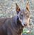 Grace Lechnir's profile image