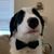 Cathye Parsons's profile image