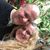 Tina Clark's profile image
