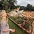 Janiece Mattice-Bober's profile image