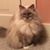 Tobie Worley's profile image