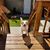 Janey Richardville's profile image