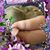 Reiko Kaneshiro's profile image