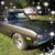 Randy Breidel's profile image