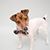 Heather Risser's profile image