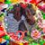 Joe Earl Jacks's profile image