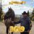 Karle Stange's profile image
