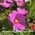 Michelle Bour-Gray's profile image