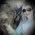 Lindsey Ritter Allen's profile image