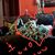 Irene Olivares's profile image