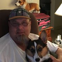 Rob Sinclair's profile image