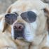 Brian B.'s profile image