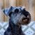 Pam Spears's profile image