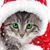 Steph Weissinger's profile image