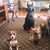 Ruth Courtney-Topete's profile image