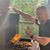 David William Bissell's profile image