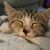 Kris Sater's profile image