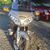 Wilfred Kraushaar's profile image