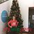 Sharon Hafner Patrick's profile image