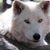 Lynn Soule's profile image